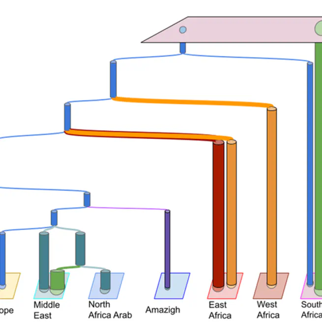 Modelling the demographic history of human North African genomes points to a recent soft split divergence between populations