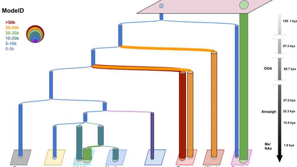 Modelling the demographic history of human North African genomes points to a recent soft split divergence between populations