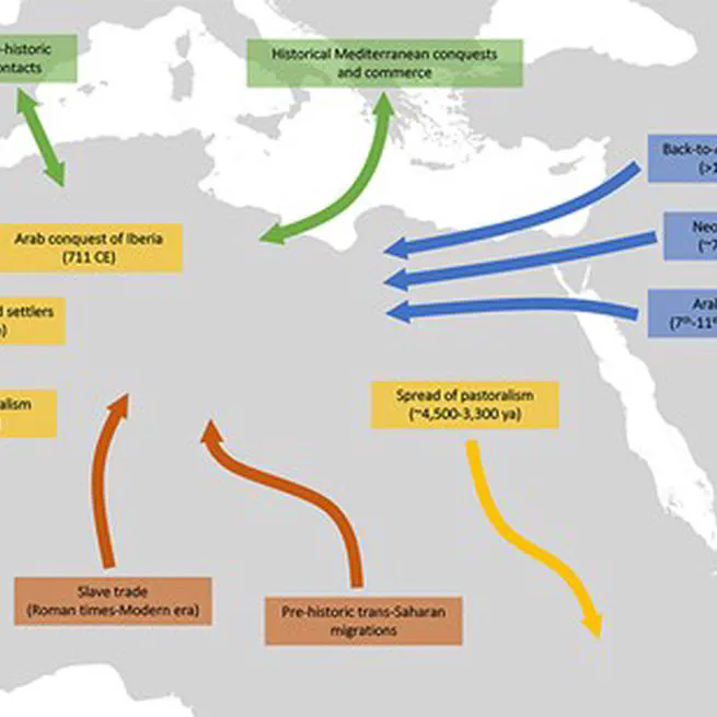 Population history of North Africa based on modern and ancient genomes